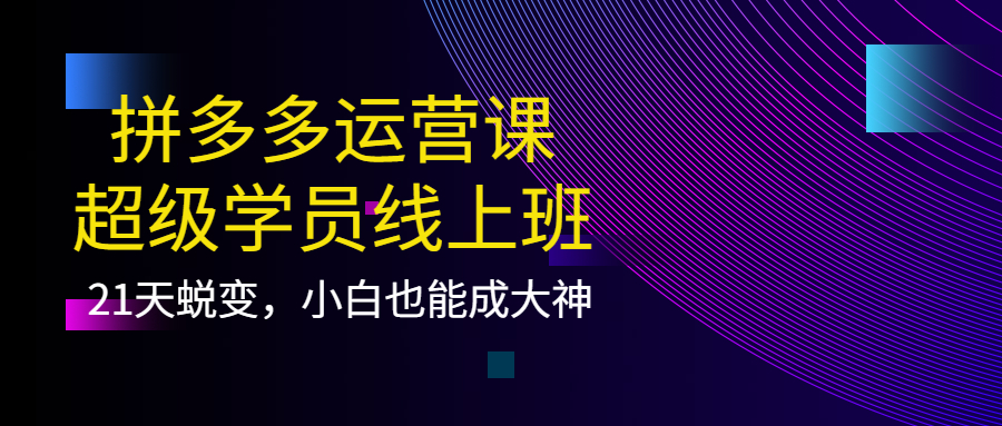 拼多多运营课：超级学员线上班，21天蜕变，小白也能成大神-博学库