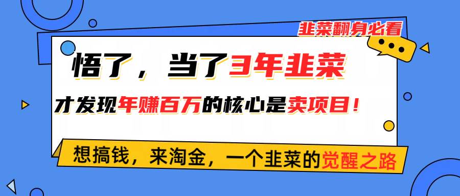 悟了，当了3年韭菜，才发现网赚圈年赚100万的核心是卖项目，含泪分享！-博学库