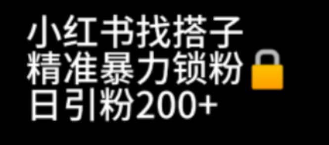 小红书找搭子暴力精准锁粉+引流日引200+精准粉-博学库