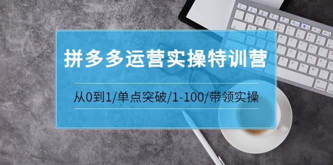 拼多多运营实操特训营：从0到1/单点突破/1-100/带领实操 价值2980元-博学库