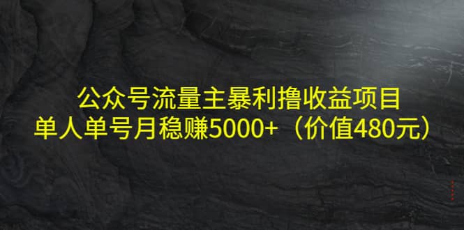 公众号流量主暴利撸收益项目，单人单号月稳赚5000+（价值480元）-博学库