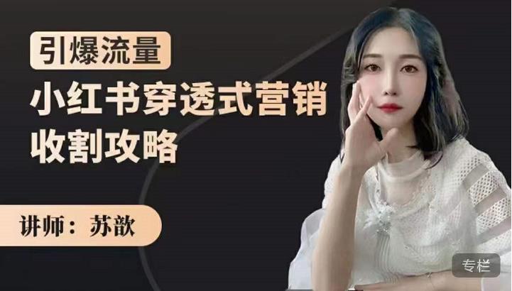 小红书穿透式营销收割攻略，引爆流量，助你玩转小红书-博学库