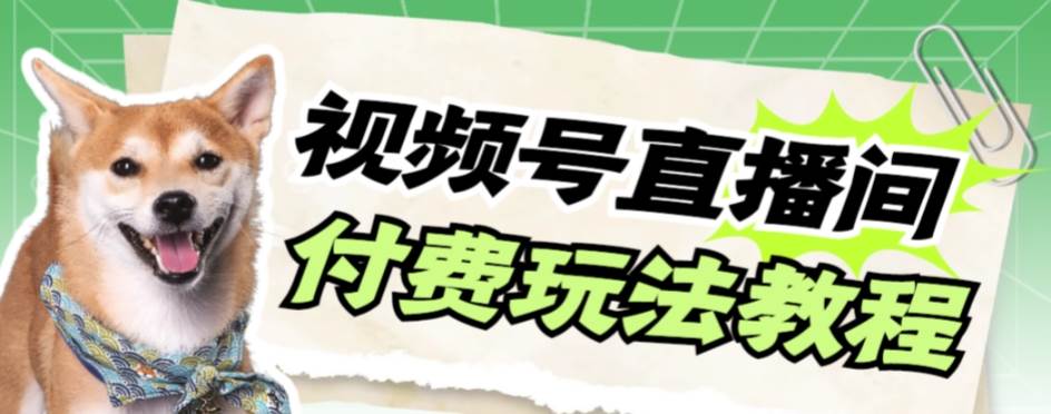 视频号美女付费无人直播，轻松日入500+【详细玩-博学库