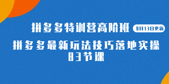 2023拼多多·特训营高阶班【9月13日更新】拼多多最新玩法技巧落地实操-83节-博学库