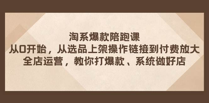 淘系爆款陪跑课 从选品上架操作链接到付费放大 全店运营 打爆款 系统做好店-博学库