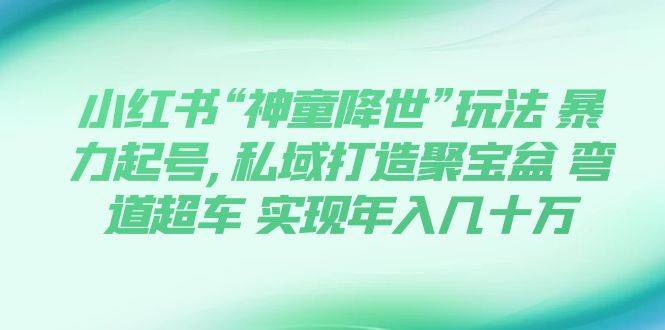 小红书“神童降世”玩法 暴力起号,私域打造聚宝盆 弯道超车 实现年入几十万-博学库