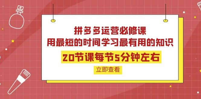 拼多多运营必修课：20节课每节5分钟左右，用最短的时间学习最有用的知识-博学库