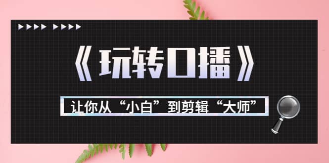 月营业额700万+大佬教您《玩转口播》让你从“小白”到剪辑“大师”-博学库
