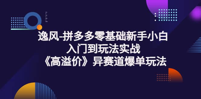 拼多多零基础新手小白入门到玩法实战《高溢价》异赛道爆单玩法实操课-博学库