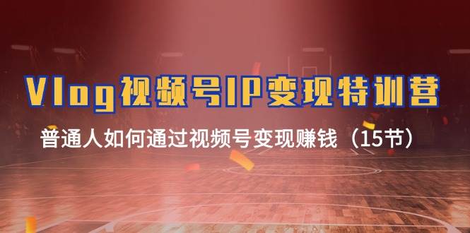 Vlog 视频号IP变现特训营，普通人如何通过视频号变现赚钱（15节）-博学库