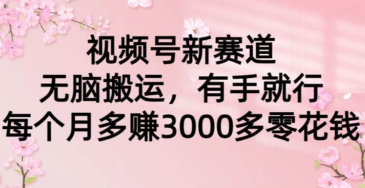 视频号新赛道，无脑搬运，有手就行，每个月多赚3000多零花钱-博学库
