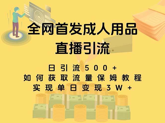 最新全网独创首发，成人用品直播引流获客暴力玩法，单日变现3w保姆级教程-博学库