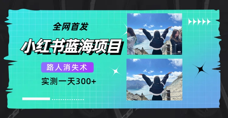 全网首发，小红书蓝海项目，路人消失术，实测一天300+（教程+工具）-博学库