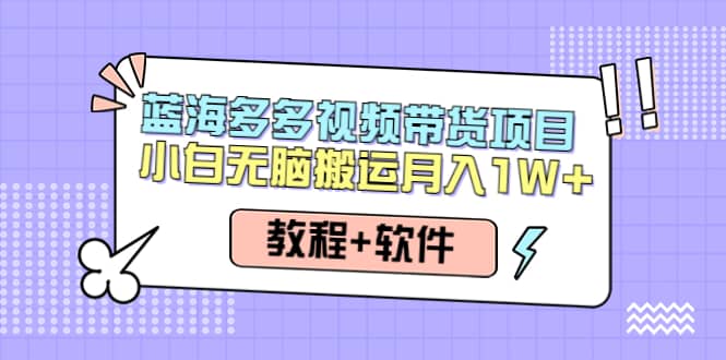 人人都能操作的蓝海多多视频带货项目 小白无脑搬运（教程+软件）-博学库