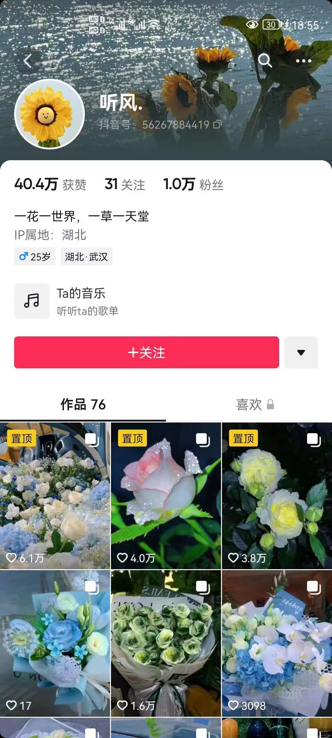 图片[2]-抖音壁纸变现项目：实战日入380+发布壁纸素材获取收益！-博学库