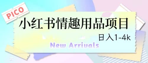 最新小红书情趣用品项目，日入1-4k-博学库