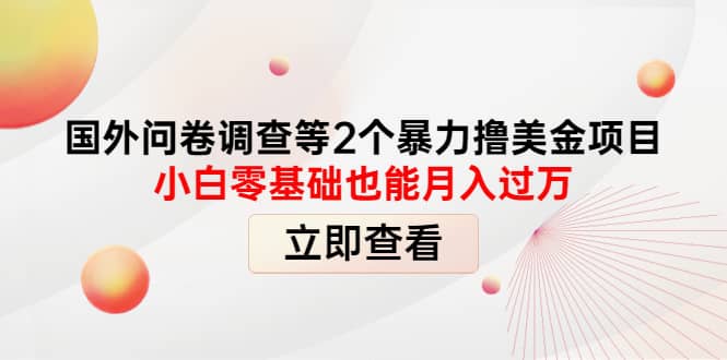 国外问卷调查等2个暴力撸美元项目，小白零基础也能月入过万-博学库