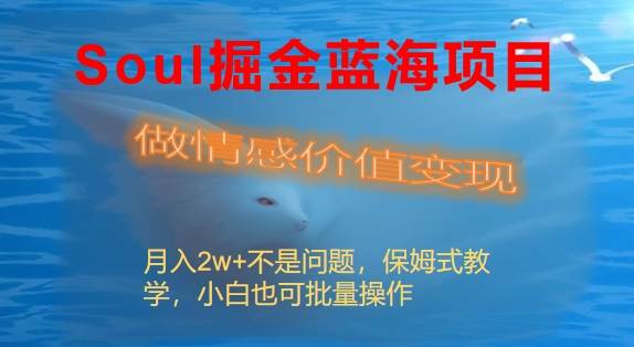 Soul掘金蓝海项目细分赛道，做情感价值变现，月入2w+不是问题-博学库