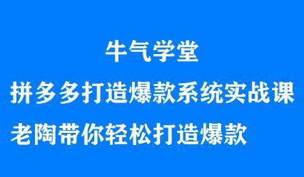 牛气学堂拼多多打造爆款系统实战课，老陶带你轻松打造爆款-博学库