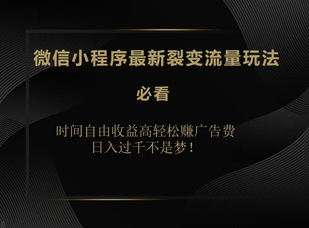 微信小程序最新裂变流量玩法，时间自由收益高轻松赚广告费，日入200-500+-博学库