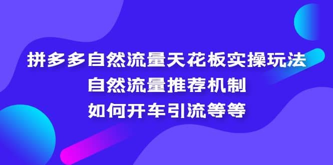 拼多多自然流量天花板实操玩法：自然流量推荐机制，如何开车引流等等-博学库