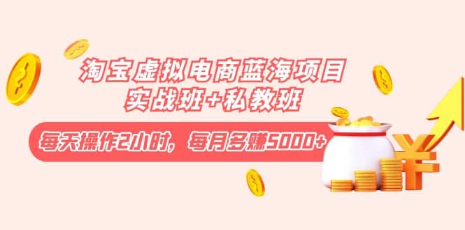 淘宝虚拟电商蓝海项目实战班+私教班-博学库