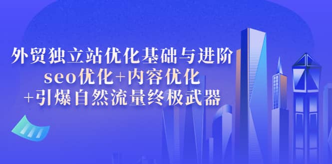 外贸独立站优化基础与进阶，seo优化+内容优化+引爆自然流量终极武器-博学库