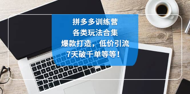 拼多多训练营：各玩法合集，爆款打造，低价引流，7天破千单等等-博学库