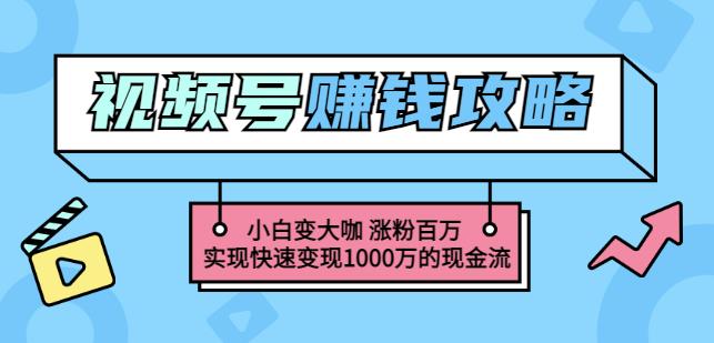 玩转微信视频号赚钱：小白变大咖涨粉百万实现快速变现1000万的现金流-博学库