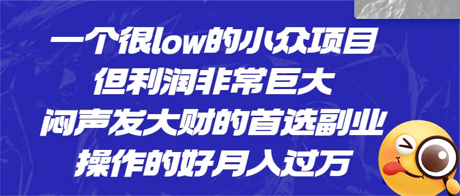 一个很low的小众项目，但利润非常巨大，闷声发大财的首选副业，月入过万-博学库