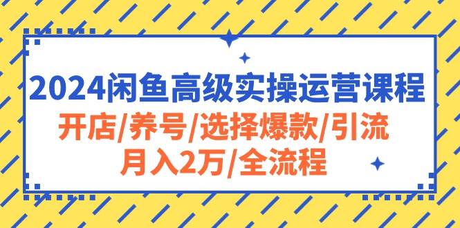 2024闲鱼高级实操运营课程：开店/养号/选择爆款/引流/月入2万/全流程-博学库