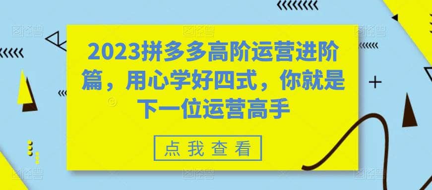 2023拼多多高阶运营进阶篇，用心学好四式，你就是下一位运营高手-博学库