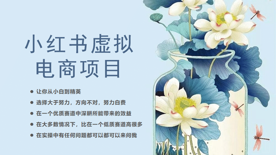 小红书虚拟电商从0到1，让你从小白到精英（20节实操课程）-博学库