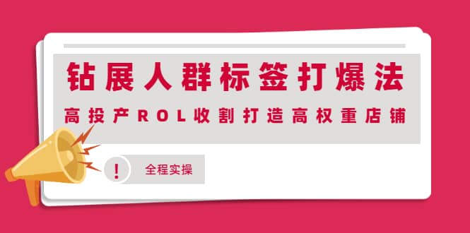 钻展人群标签打爆法，高投产ROL收割打造高权重店铺(全程实操)-博学库
