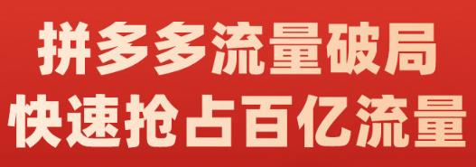阿杰·拼多多流量破局:如何打黑标，爆款的思路，拼多多流量框架，快速抢占百亿流量-博学库