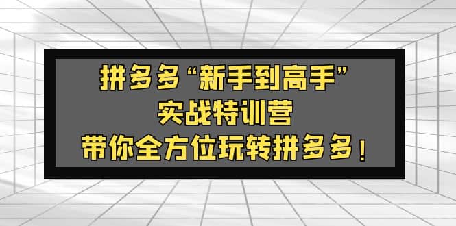 拼多多“新手到高手”实战特训营：带你全方位玩转拼多多-博学库