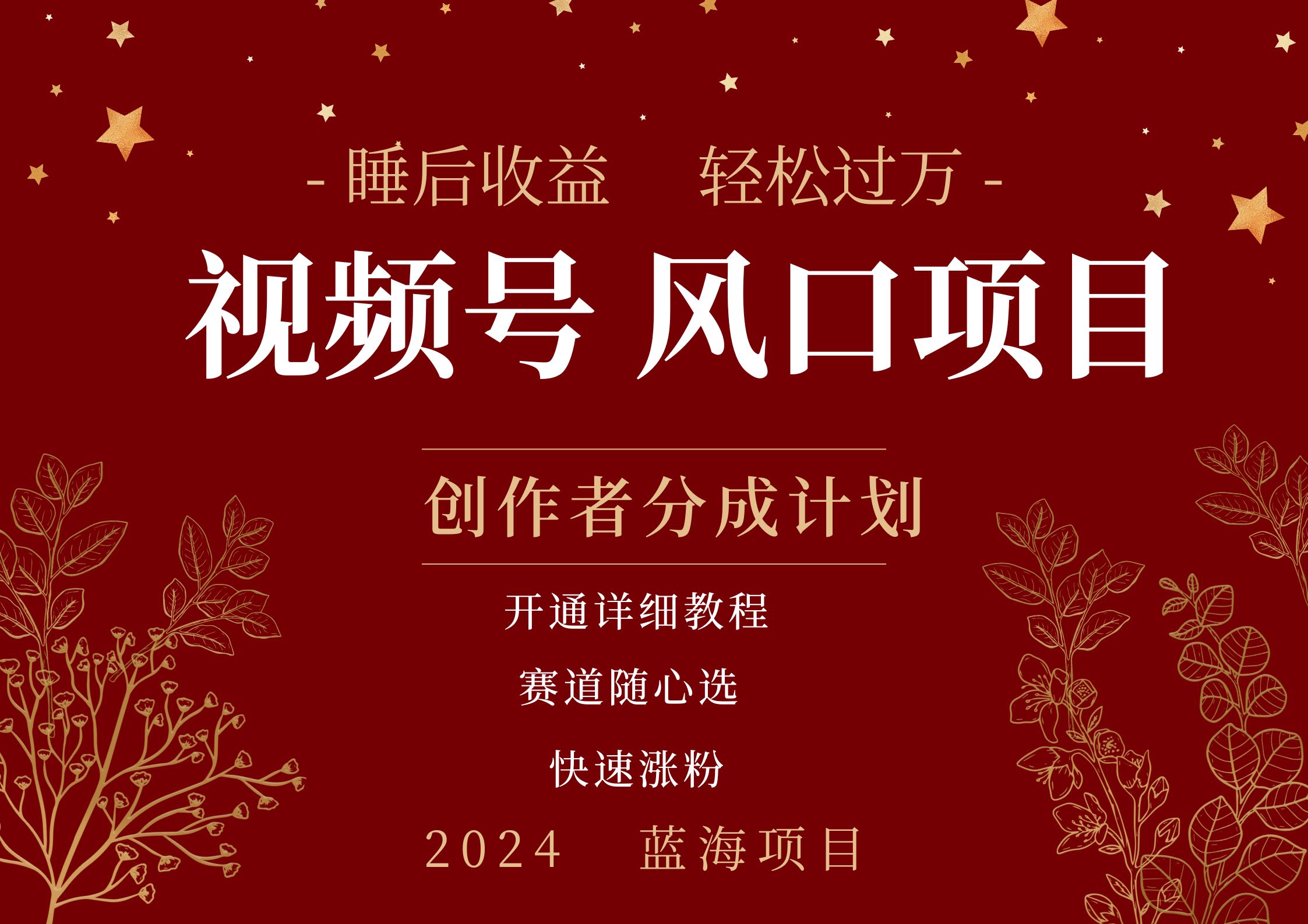 拥有睡眠收益的微信视频号大风口项目，轻松月入过万+，多赛道选择，可矩阵，玩法简单轻松上手-博学库