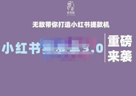 谢无敌·小红书实战营3.0，无敌带你打造小红书提款机 价值7999元-博学库