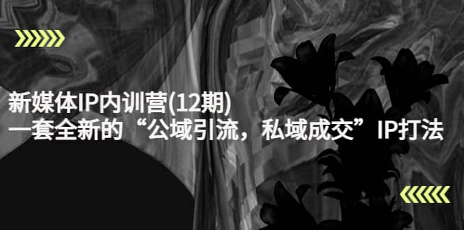 新媒体IP内训营(12期)，一套全新的“公域引流，私域成交”IP打法，直接带走-博学库