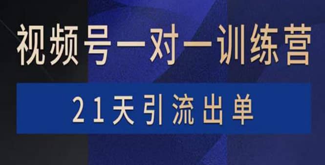 视频号训练营：带货，涨粉，直播，游戏，四大变现新方向，21天引流出单-博学库