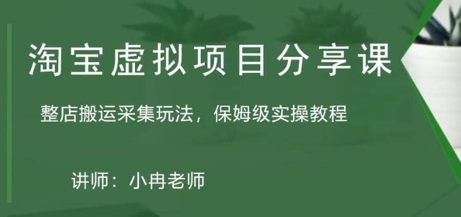 淘宝虚拟整店搬运采集玩法分享课：整店搬运采集玩法，保姆级实操教程-博学库