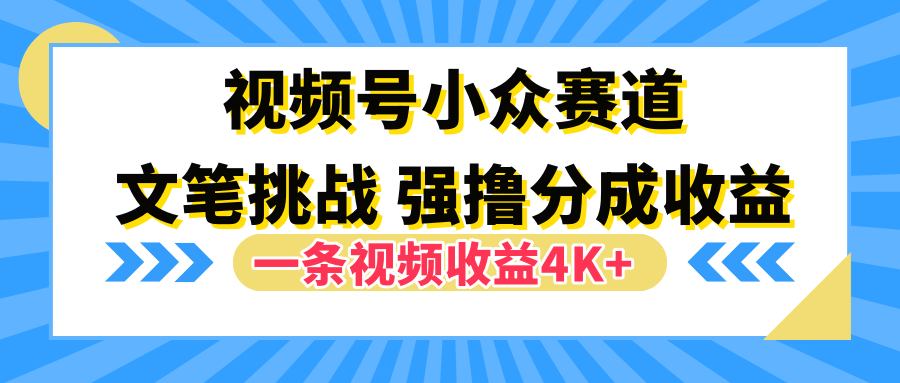 视频号小众赛道，文笔挑战，一条视频收益4K+-博学库