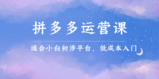拼多多运营课，适合小白初涉平台，低成本入门-博学库