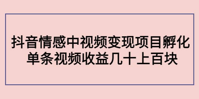 抖音情感中视频变现项目孵化-博学库