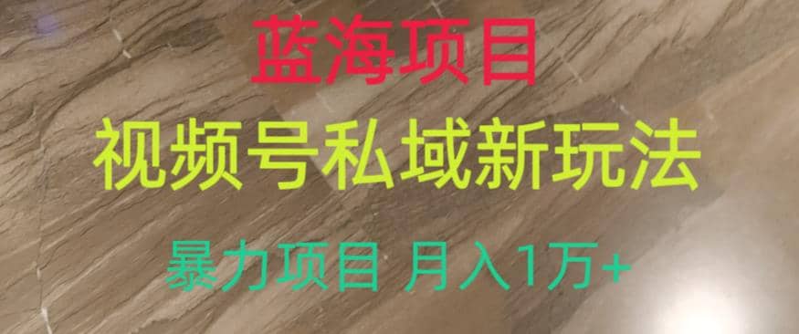 蓝海项目，视频号私域新玩法，暴力项目月入1万+【揭秘】-博学库
