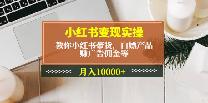 小红书变现实操：教你小红书带货，白嫖产品，赚广告佣金等-博学库