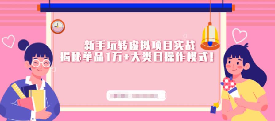 新手玩转虚拟项目实战，揭秘单品1万+大类目操作模式【视频课程】-博学库