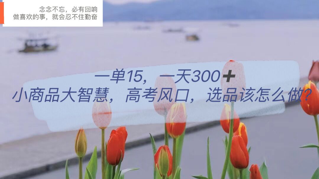 一单15，一天300+，小商品大智慧，高考风口，选品该怎么布局-博学库