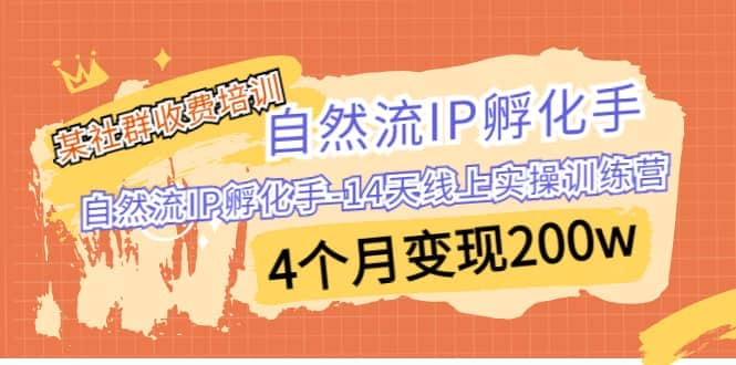 某社群收费培训：自然流IP 孵化手-14天线上实操训练营 4个月变现200w-博学库