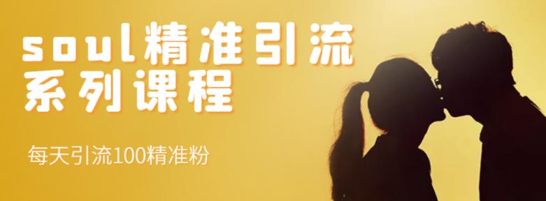 soul精准引流系列课程，每天引流100精准粉-博学库